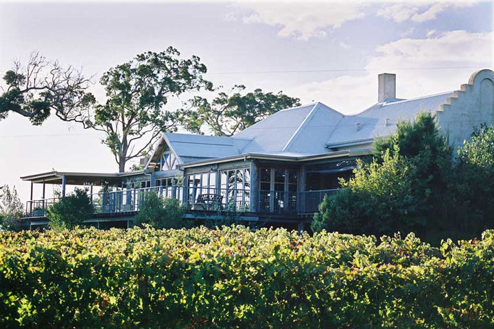 Celebrating International Chardonnay Day: A Toast to Driftwood Winery's Award-Winning Single Site Chardonnay